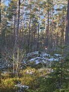 Postilaatikko ja rastilippu näkyy tien päässä olevalle parkkipaikalle